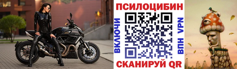Галлюциногенные грибы Cubensis  закладка  Керчь 